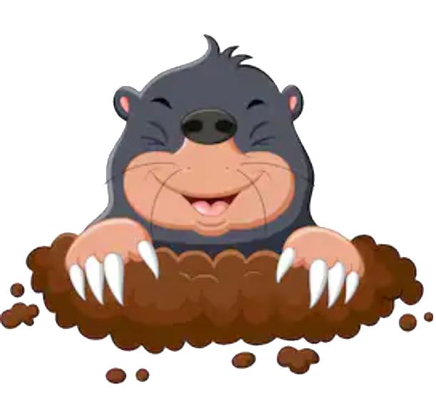 whack-a-mole Logo